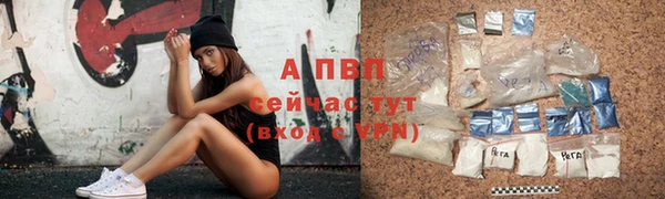 СК Нефтегорск