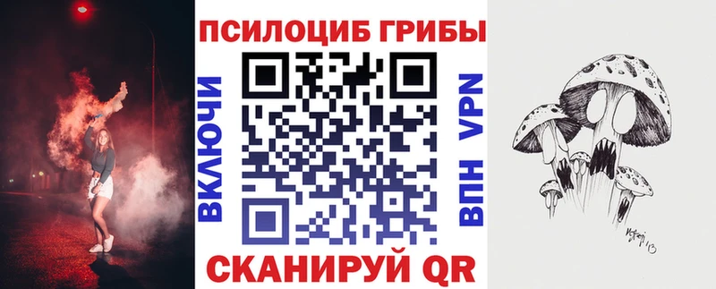 купить наркотики цена  мориарти телеграм  OMG рабочий сайт  Псилоцибиновые грибы Psilocybe  Кострома 