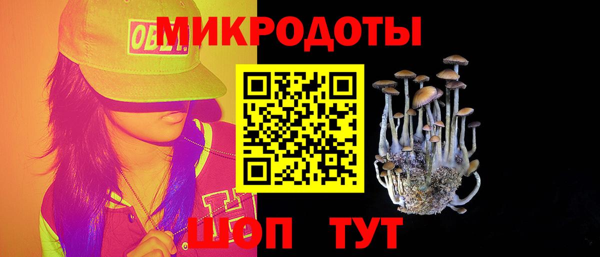 Галлюциногенные грибы Psilocybine cubensis  Кострома 